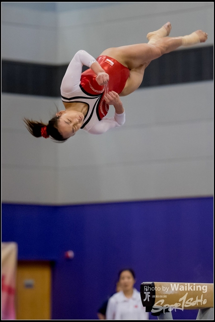 2019-03-31 Artistic Gym 0730