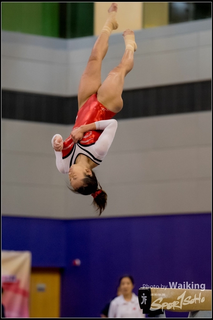 2019-03-31 Artistic Gym 0731