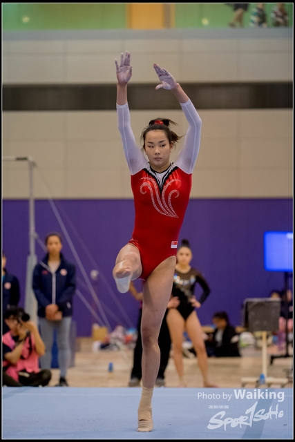 2019-03-31 Artistic Gym 0766