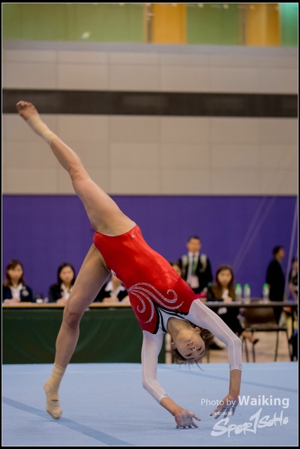 2019-03-31 Artistic Gym 0767