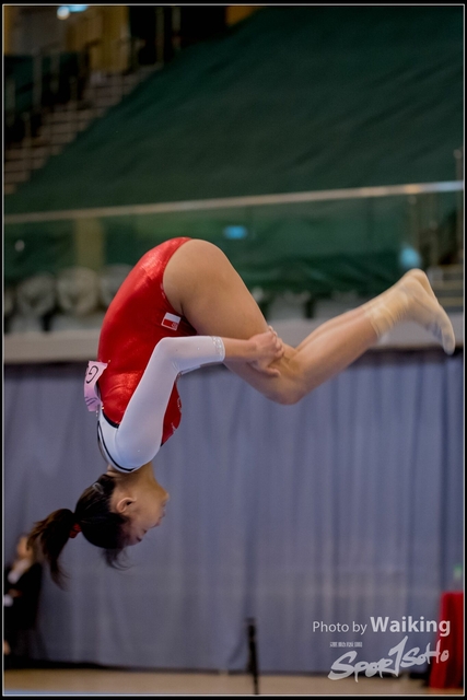 2019-03-31 Artistic Gym 0769
