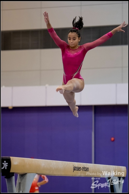 2019-03-31 Artistic Gym 0779