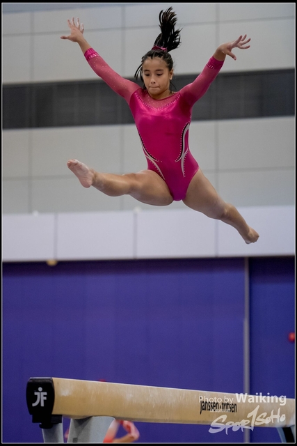 2019-03-31 Artistic Gym 0780