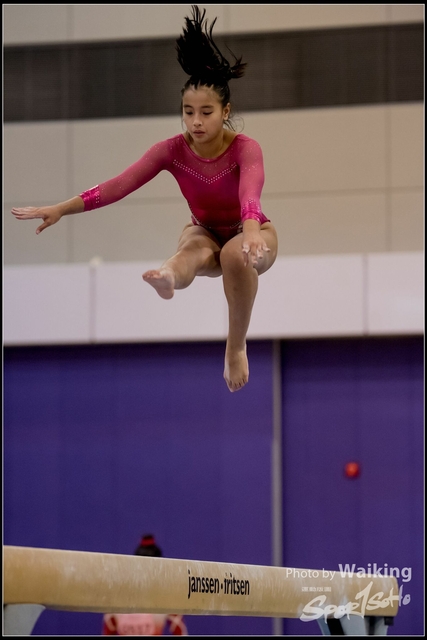 2019-03-31 Artistic Gym 0782