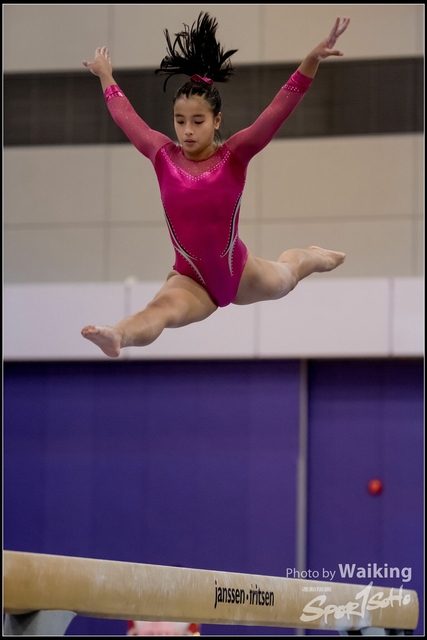 2019-03-31 Artistic Gym 0783