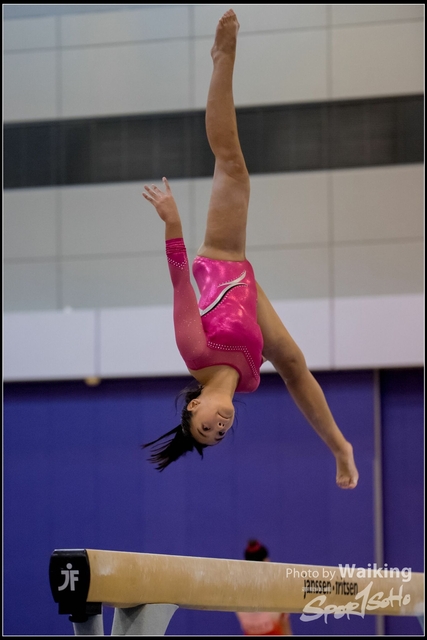 2019-03-31 Artistic Gym 0784