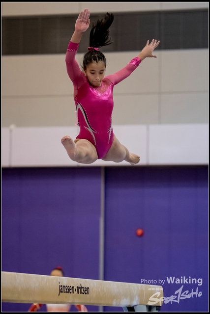 2019-03-31 Artistic Gym 0787