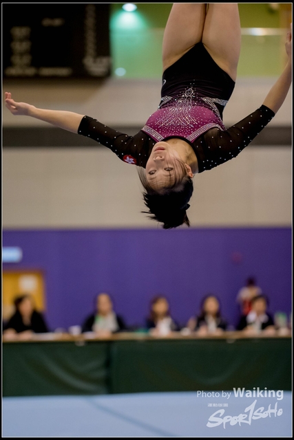 2019-03-31 Artistic Gym 0800
