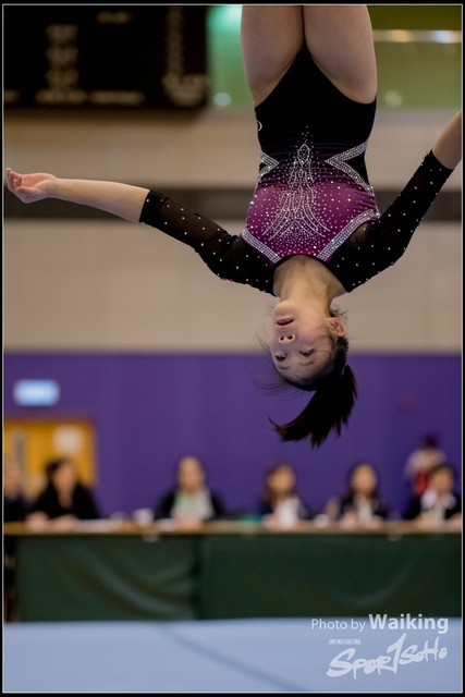 2019-03-31 Artistic Gym 0801