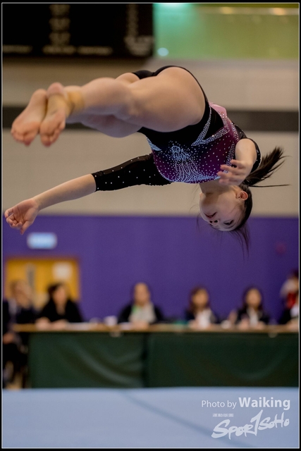 2019-03-31 Artistic Gym 0802