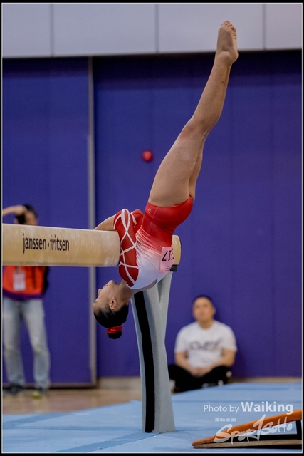 2019-03-31 Artistic Gym 0804