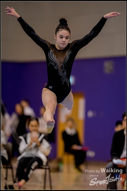 2019-03-31 Artistic Gym 0815