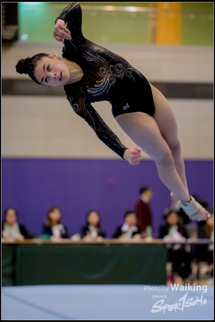 2019-03-31 Artistic Gym 0817
