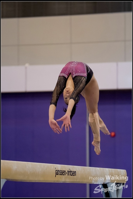 2019-03-31 Artistic Gym 0823
