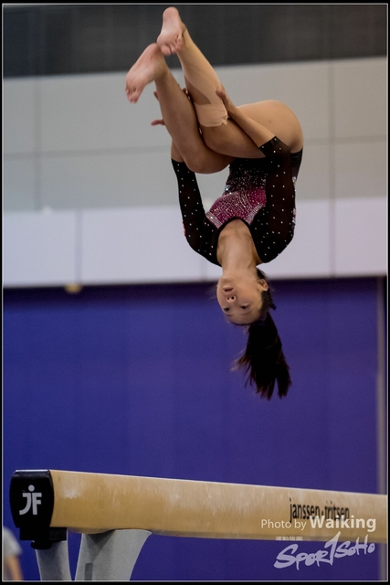 2019-03-31 Artistic Gym 0825