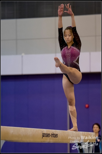 2019-03-31 Artistic Gym 0826