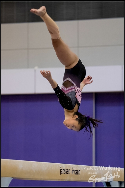 2019-03-31 Artistic Gym 0827