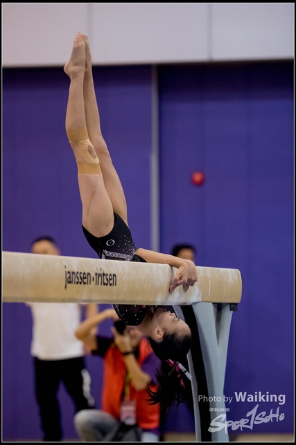 2019-03-31 Artistic Gym 0832