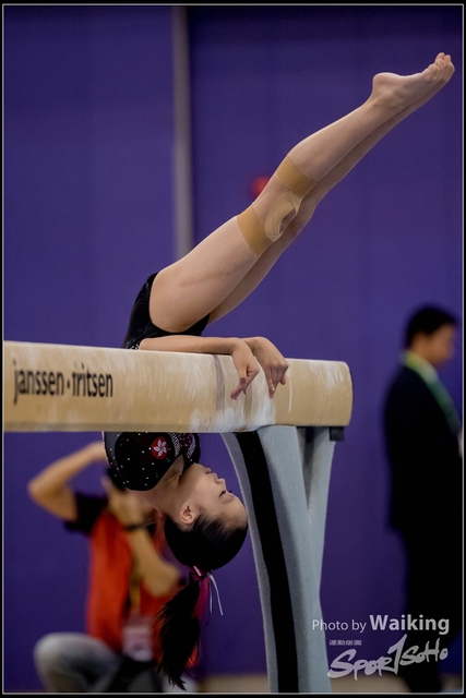 2019-03-31 Artistic Gym 0833
