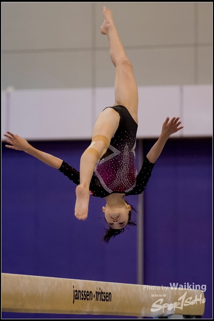2019-03-31 Artistic Gym 0836
