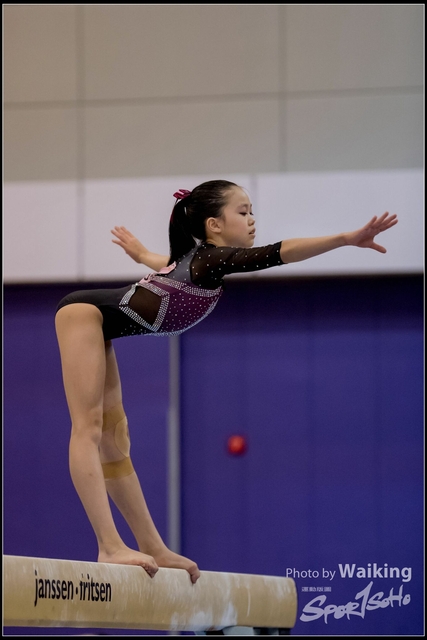 2019-03-31 Artistic Gym 0839