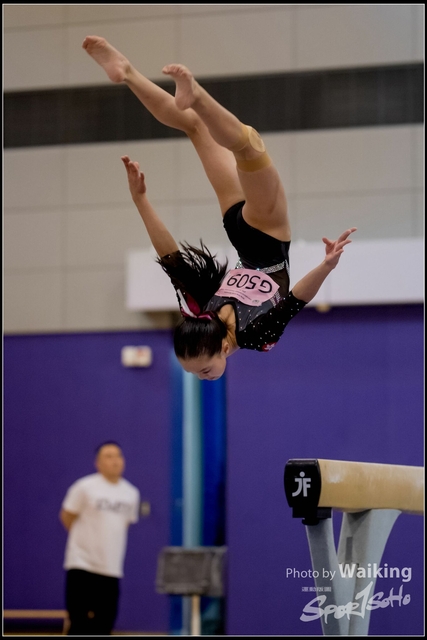 2019-03-31 Artistic Gym 0841