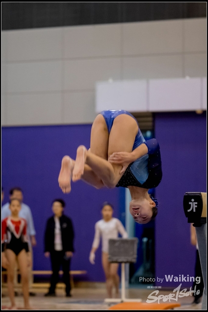 2019-03-31 Artistic Gym 0860