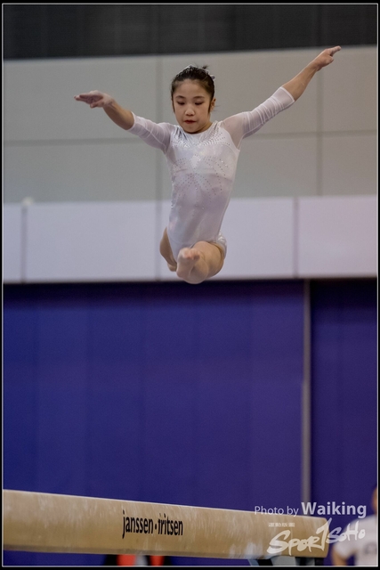 2019-03-31 Artistic Gym 0866