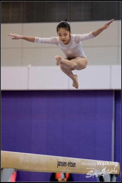 2019-03-31 Artistic Gym 0867