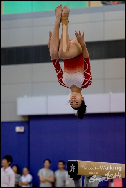 2019-03-31 Artistic Gym 0898