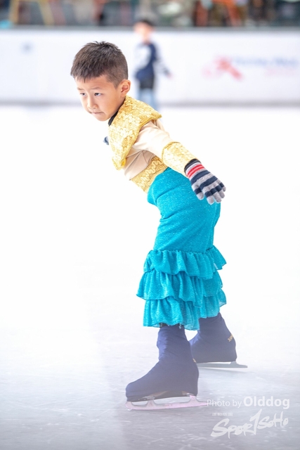 Skating-71