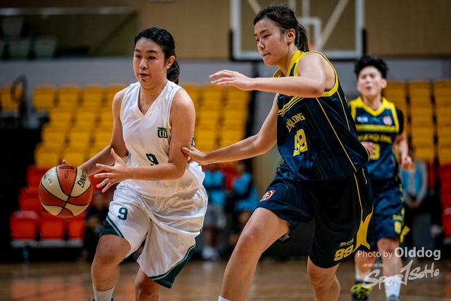 Basketball-19