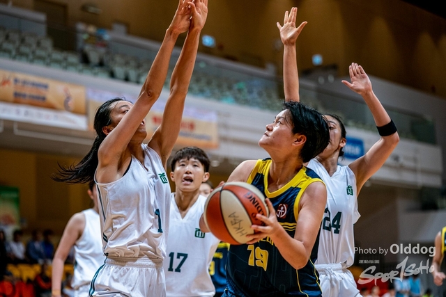 Basketball-41