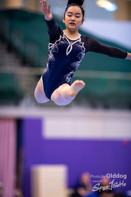 Gymnastics-301