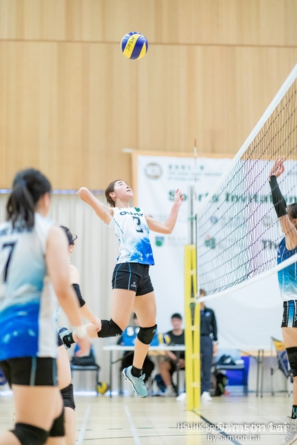 Volleyball by Samson-80
