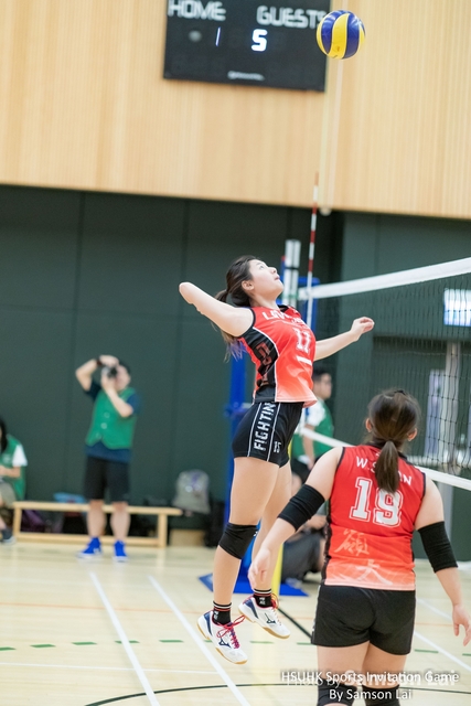 Volleyball by Samson-86