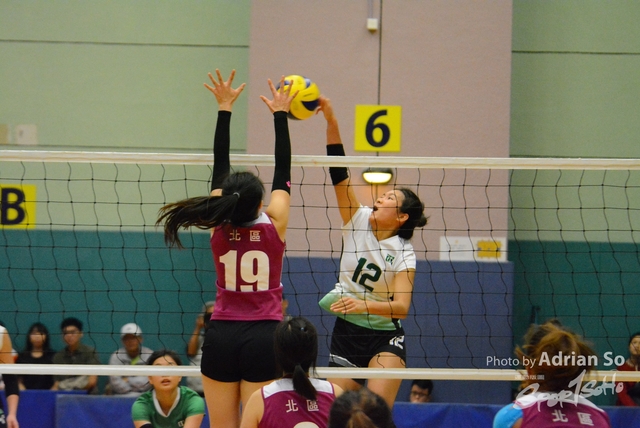 DSC_0450 (2)
