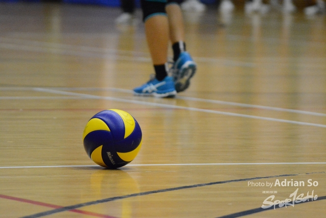 DSC_0478 (2)