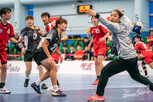 HandBall-80