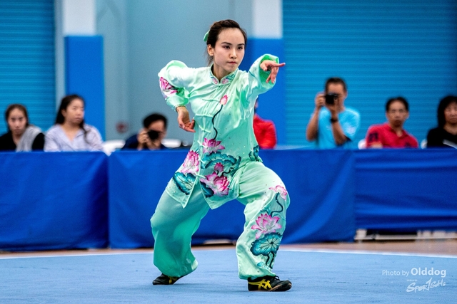 Wushu-9