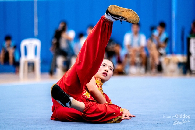 Wushu-61