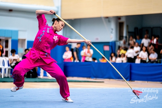 Wushu-483