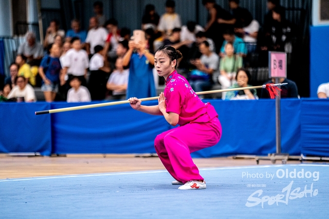 Wushu-496