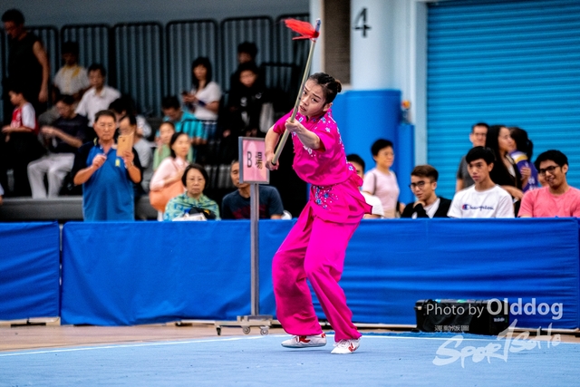 Wushu-507