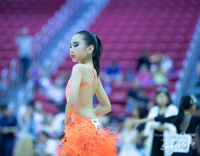 CYY_0242