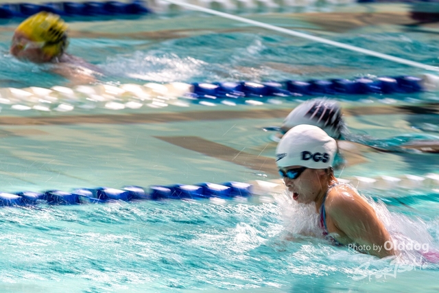 HKSSFswimming-69