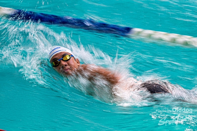 HKSSFswimming-83