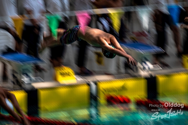 HKSSFswimming-84