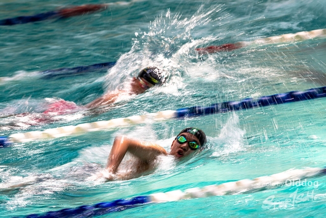 HKSSFswimming-86