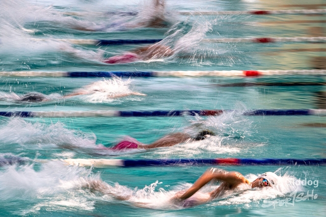 HKSSFswimming-109